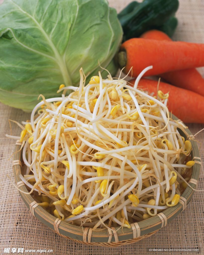 豆芽