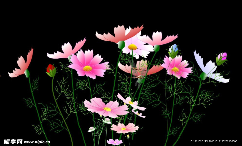 花朵背景動畫素材