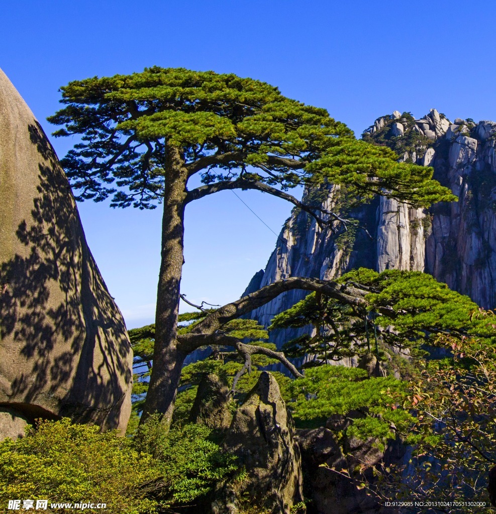 黃山
