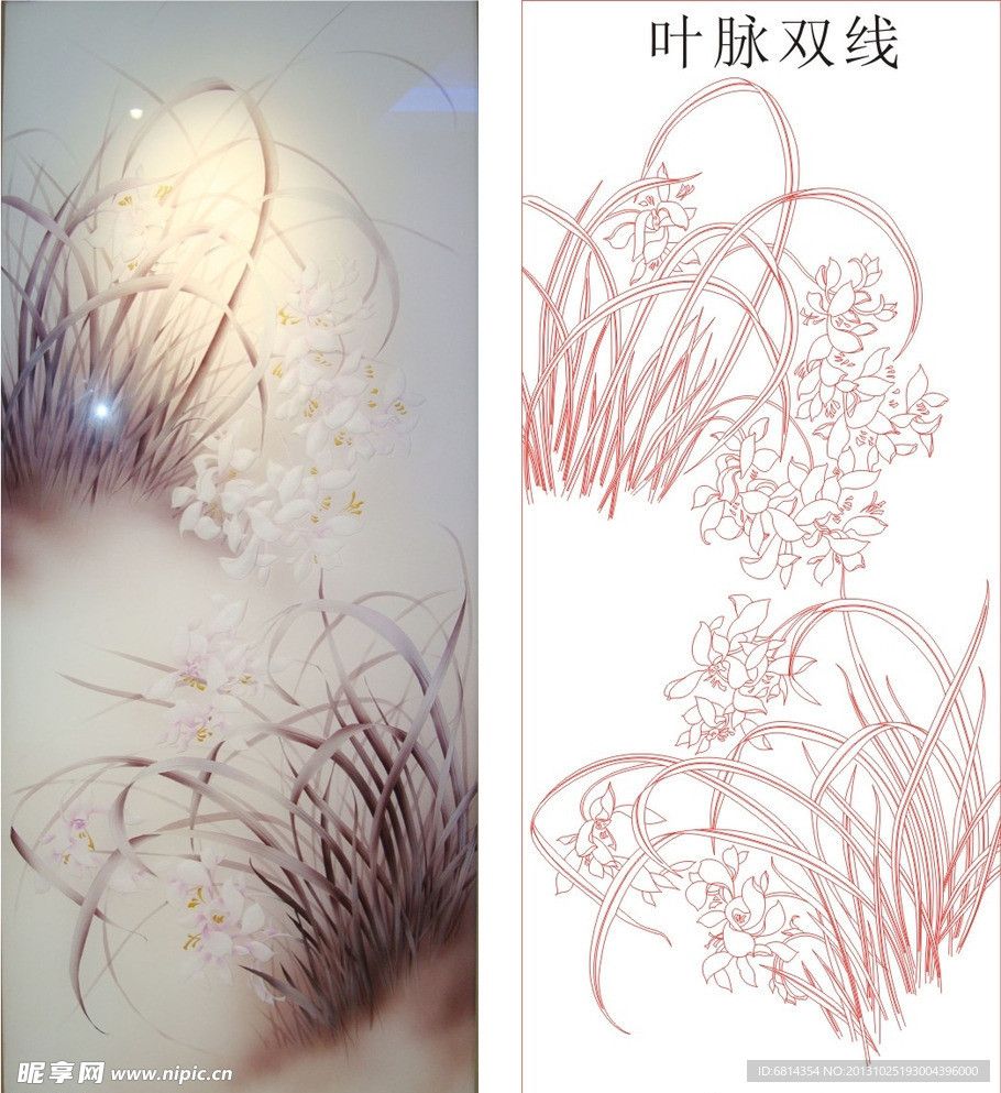 蘭花 蘭草