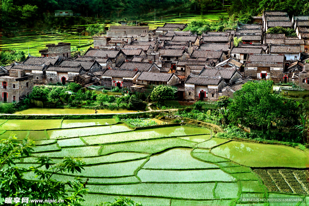 楊池古村