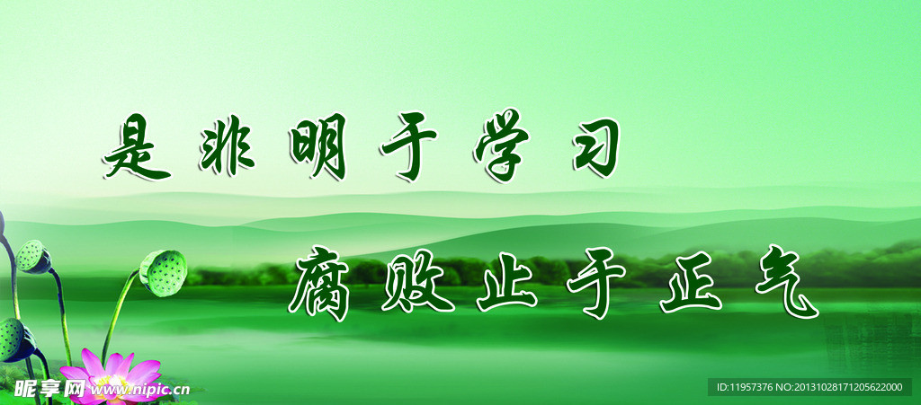 荷花 清廉