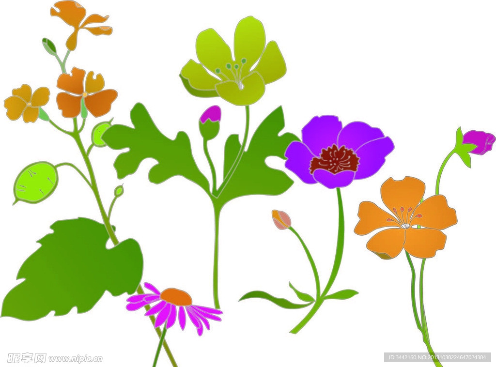 花朵矢量線描圖