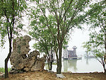 太湖边的石景绿树