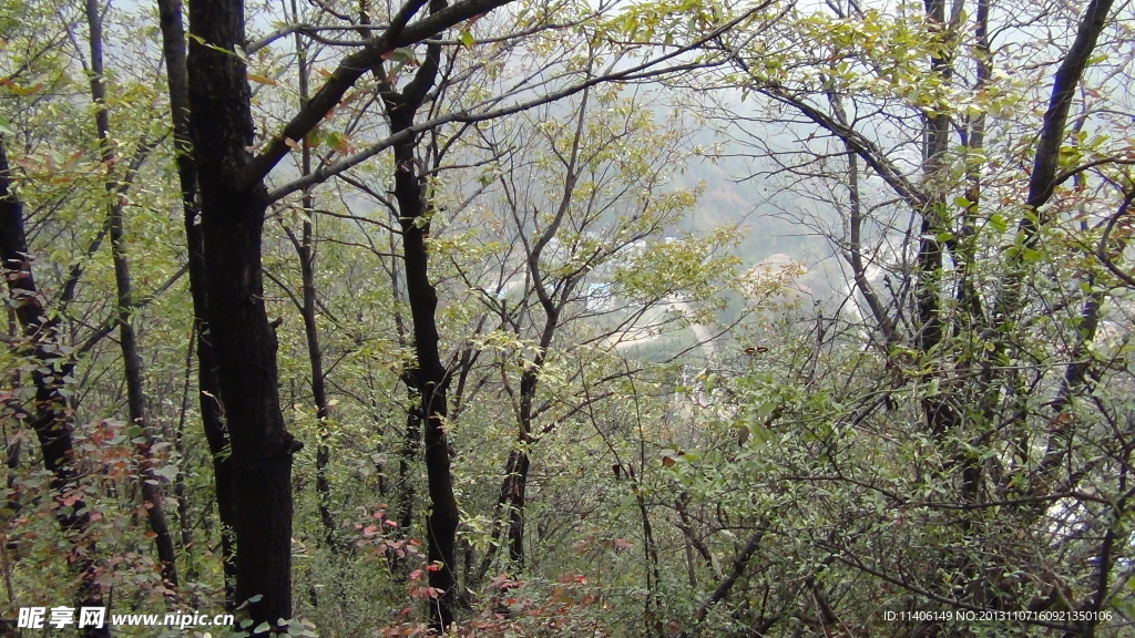 祥裕森林公園