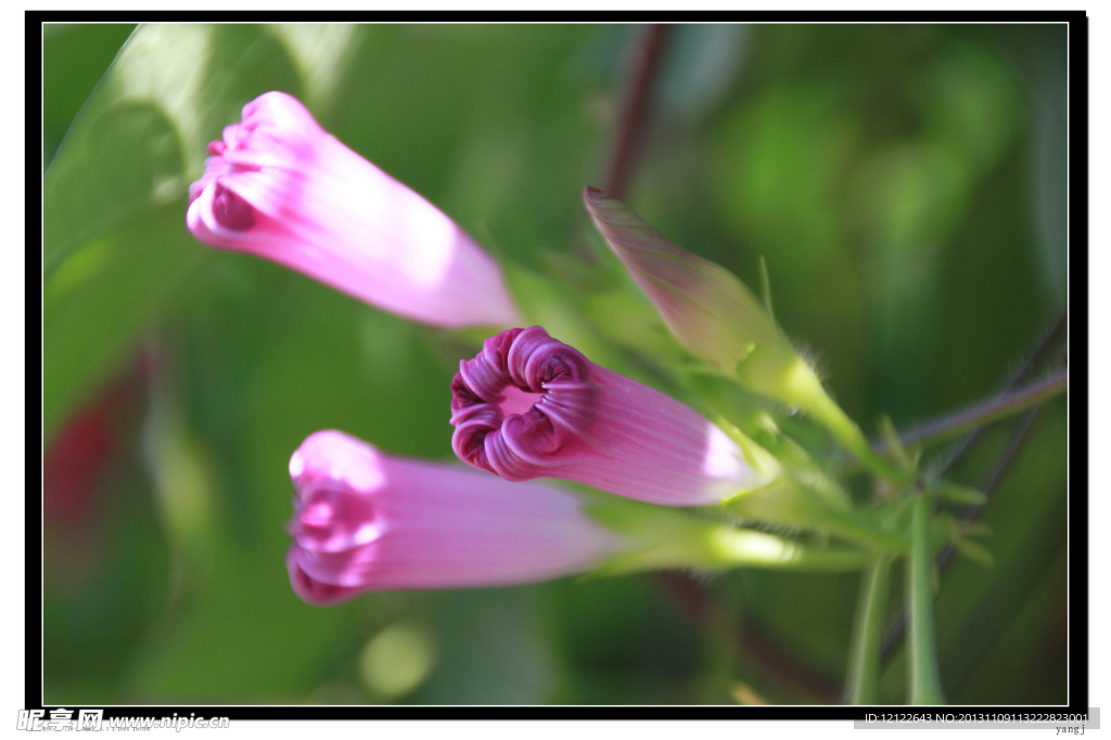 花團