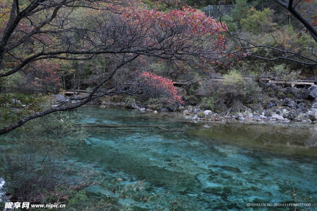 紅葉河流