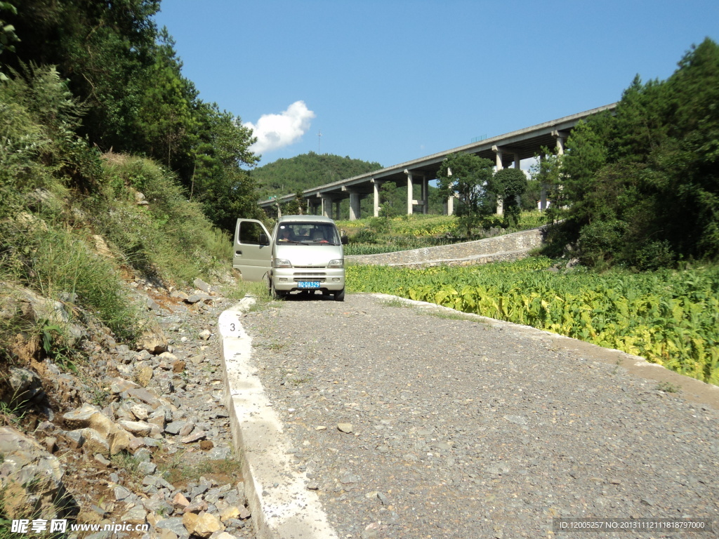 煙草公路