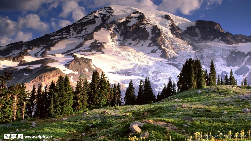 雪山叢林