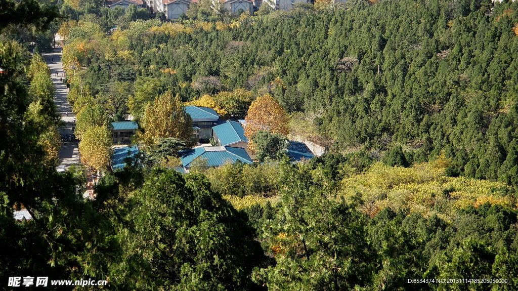 山城