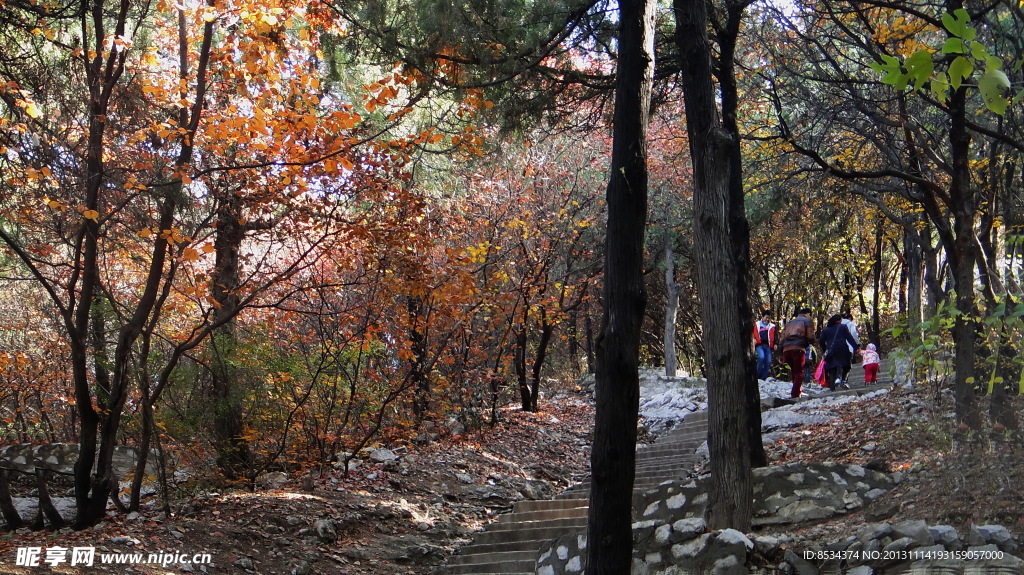 臘山的紅葉