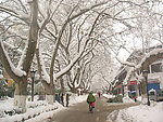 雪中的南京瞻园路