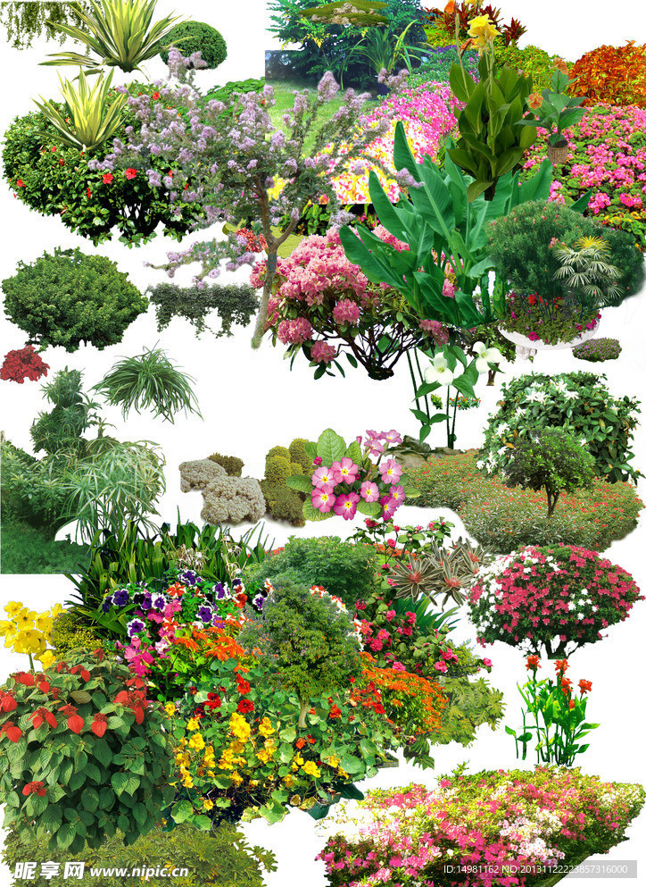 樹木花草