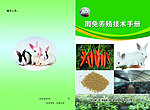 獺兔封面