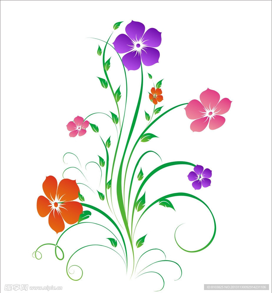 花芹