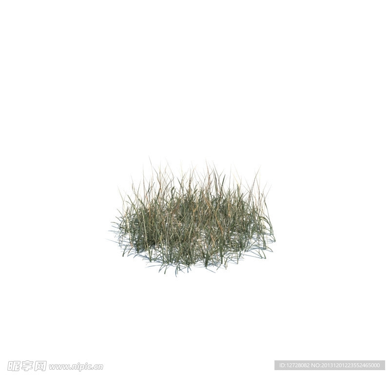 植物模型 小草模型