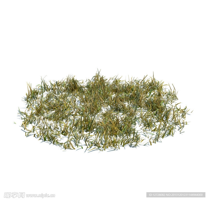 植物模型 小草模型