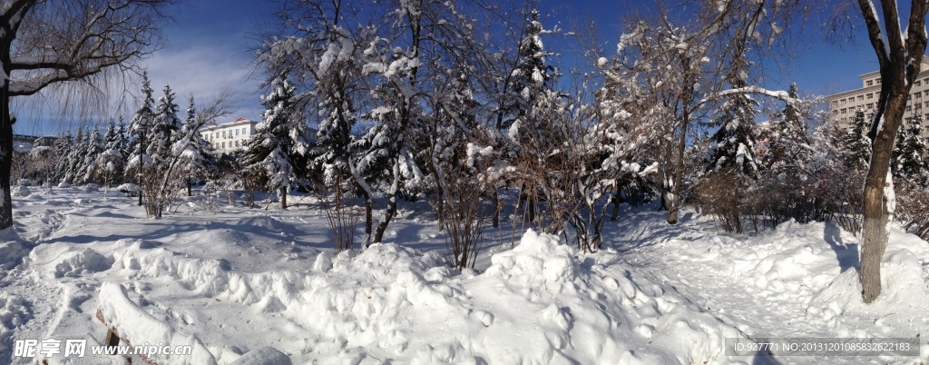白雪