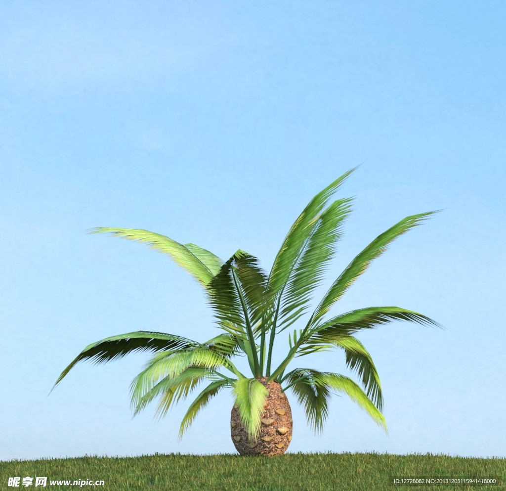 樹木模型 高大植物