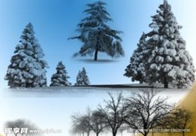 冬季树笔刷 雪树图片
