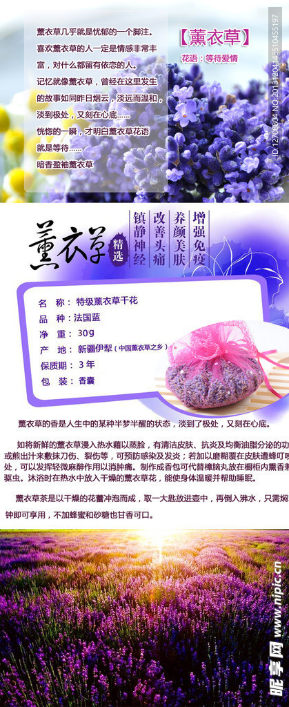 薰衣草