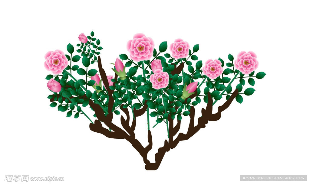 月季花