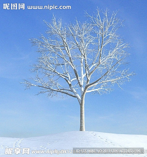 冬季樹木模型 樹模型