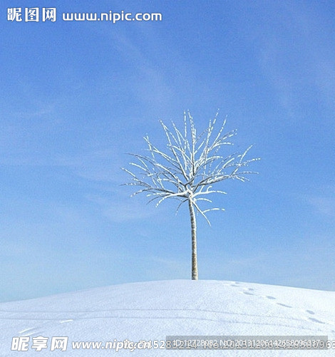 冬季樹(shù)木模型 樹(shù)模型