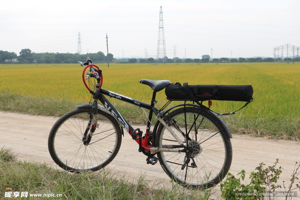 自行车与水稻