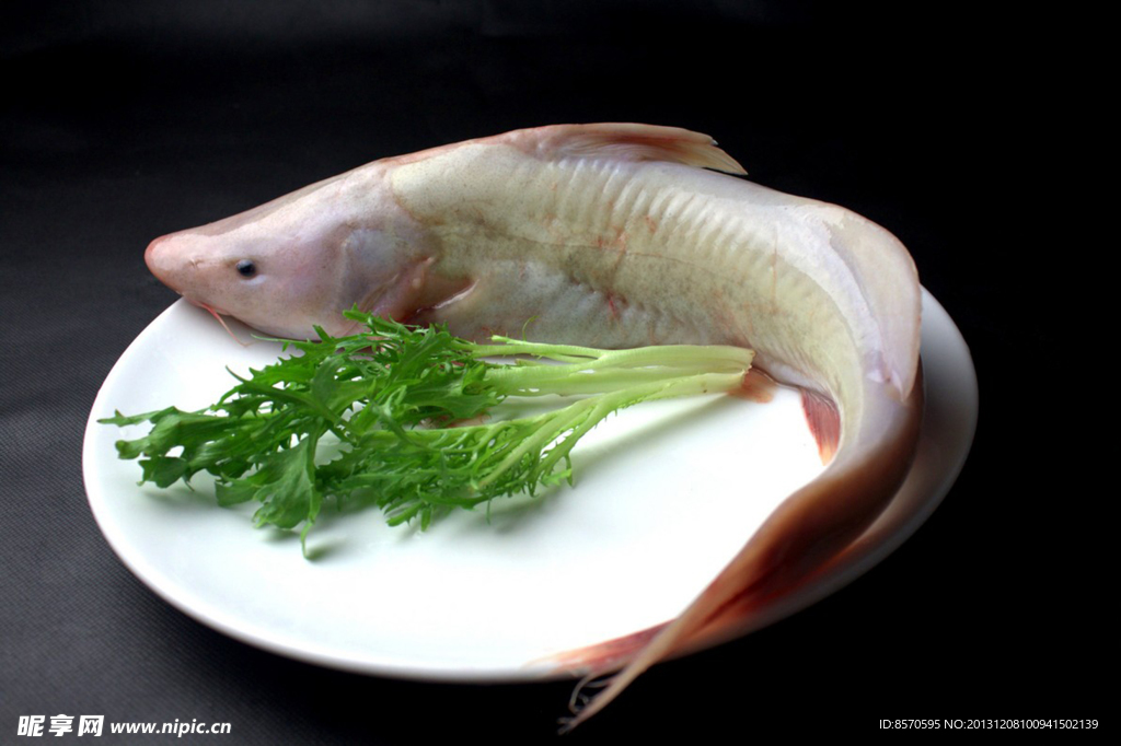 鱘魚