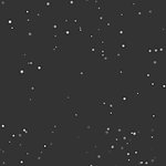 動態雪