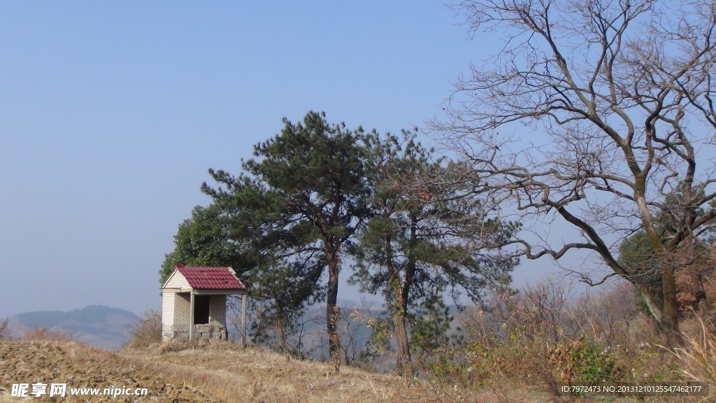 社廟