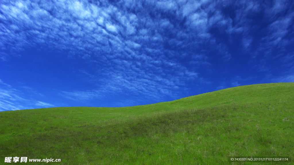 草地天空