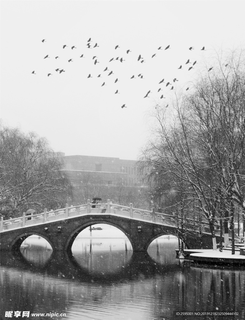 浙江大學(xué)紫金港雪景