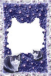 紫色猫咪相框