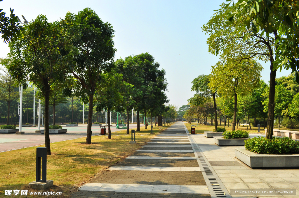公園綠徑