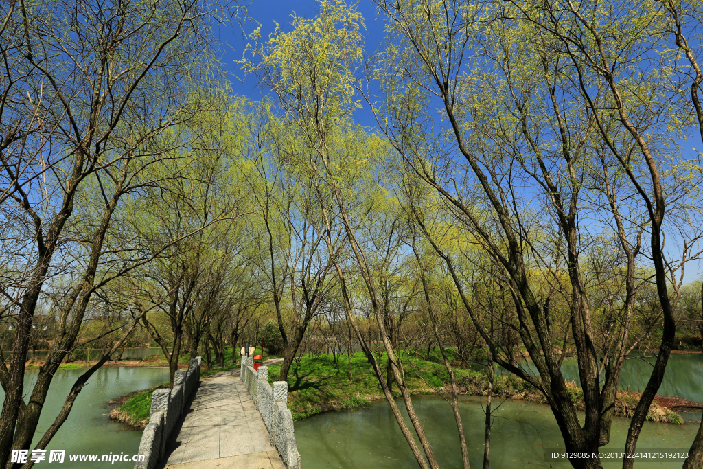 西溪濕地公園