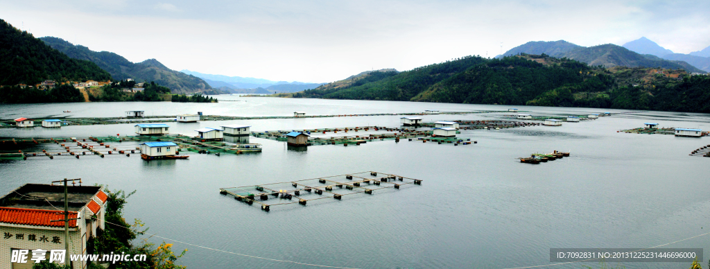 白龍湖漁場