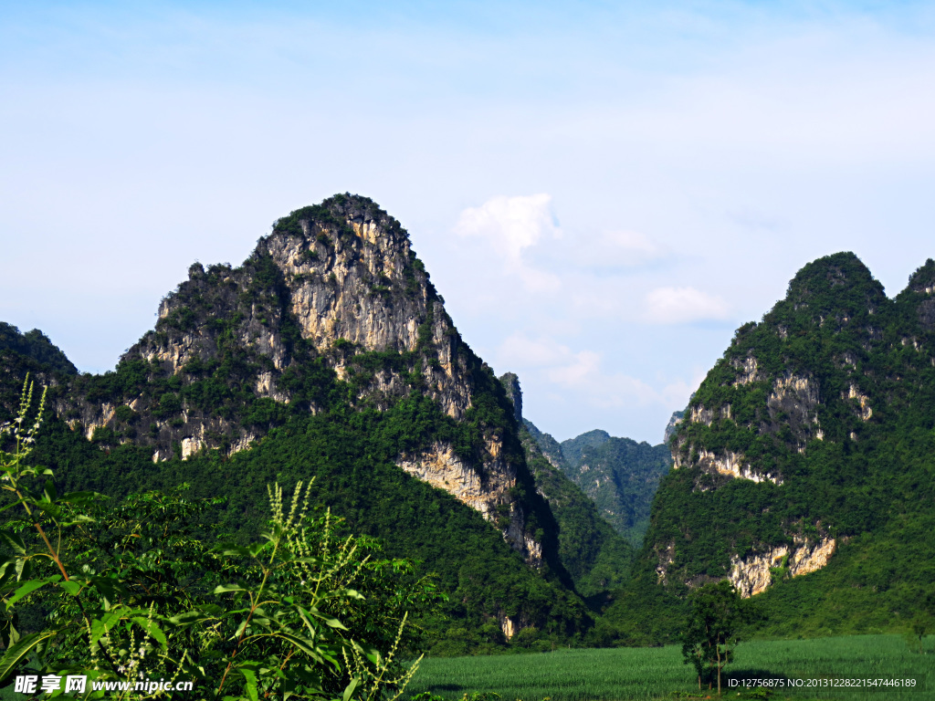 青山