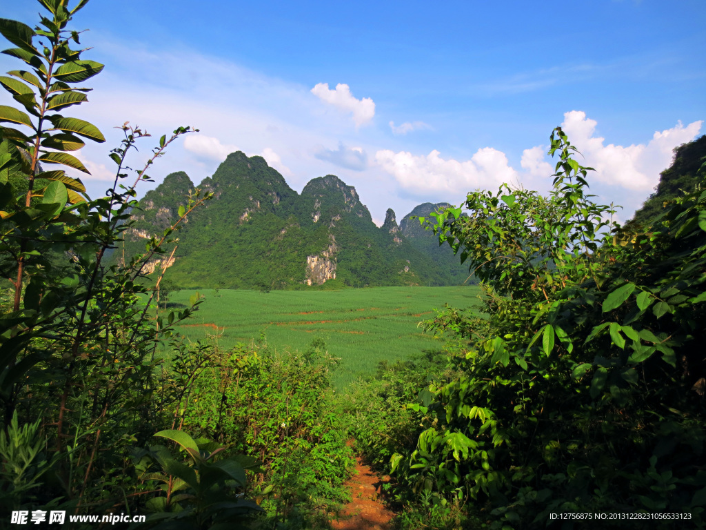 青山