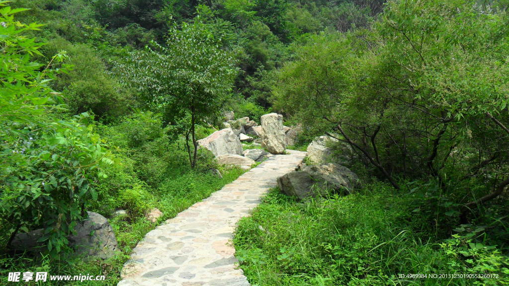 大山小路