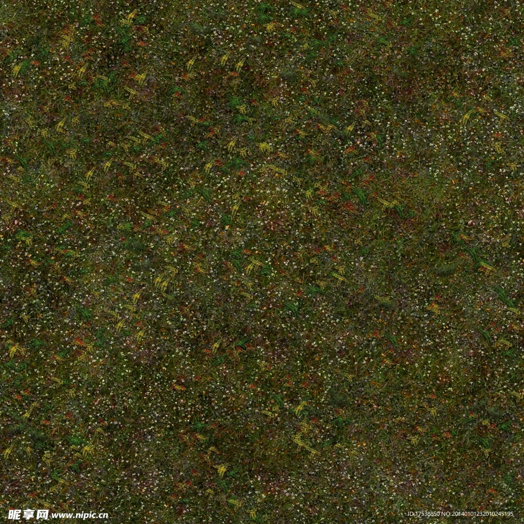 高清地表草地植物森林