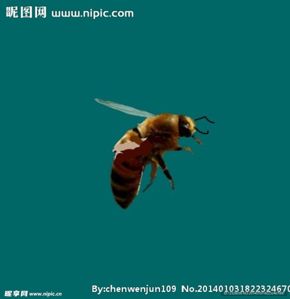 蜜蜂