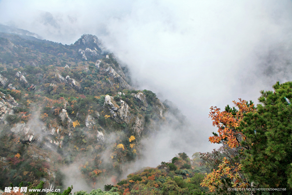 霧中巒山