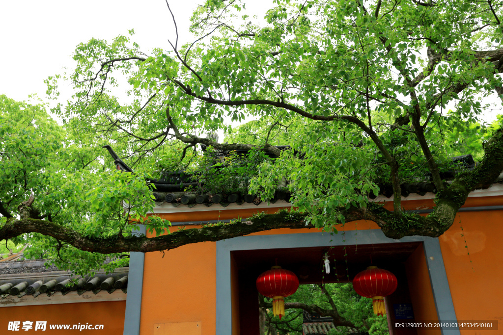 普陀山普濟禪寺