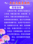減肥 藥包功效