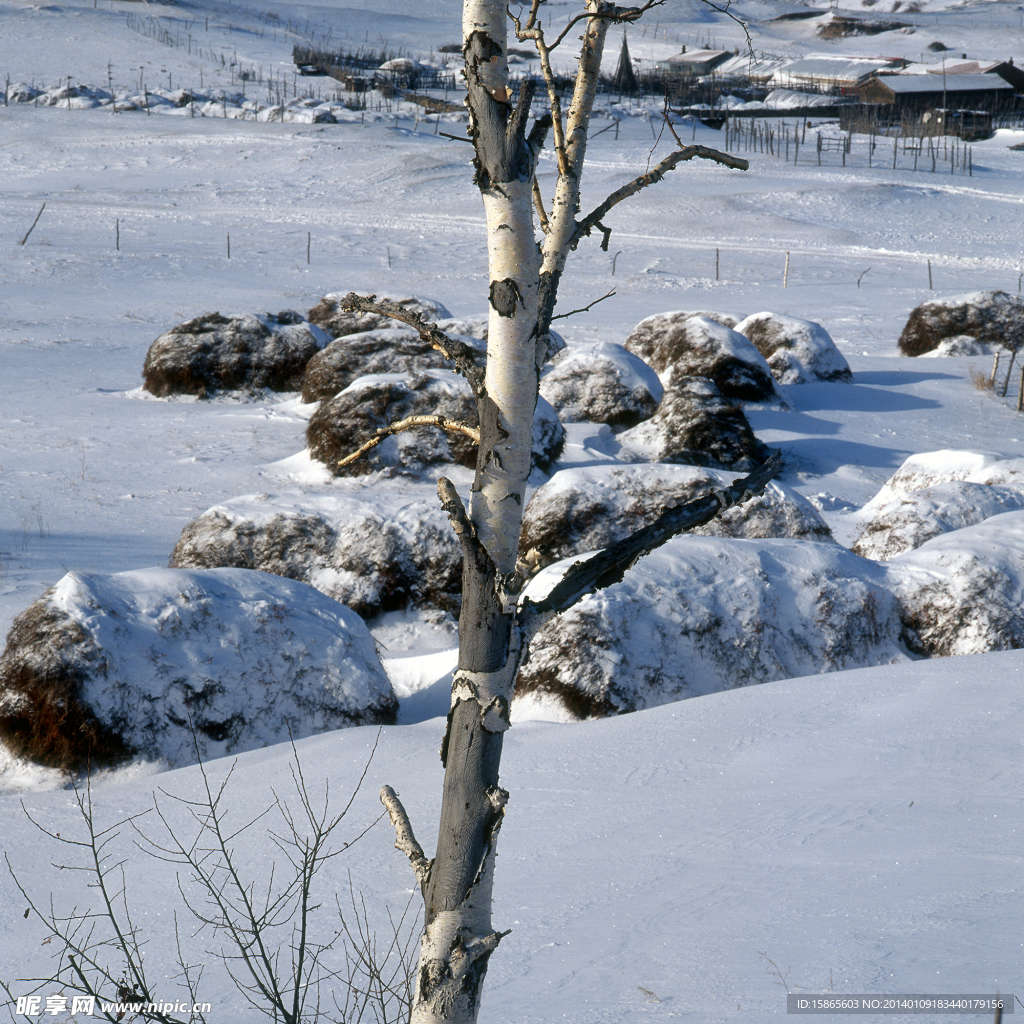 雪景