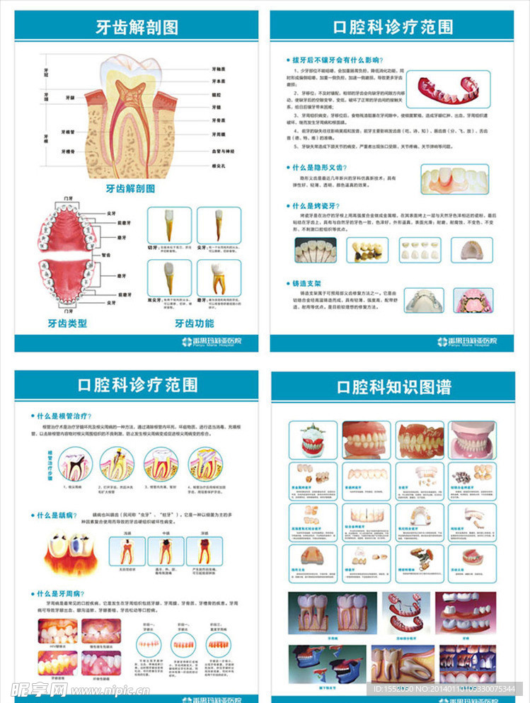 口腔科挂图 口腔科