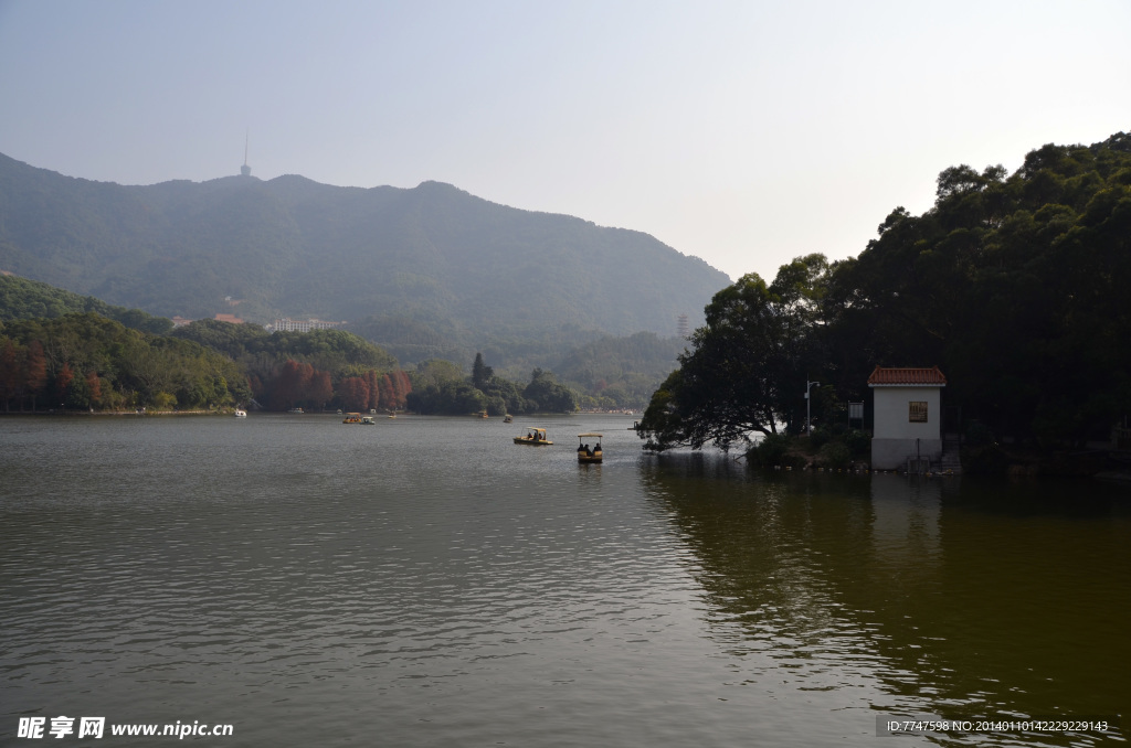 仙湖植物园