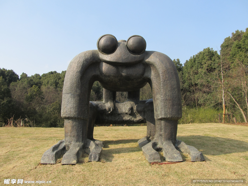 青蛙